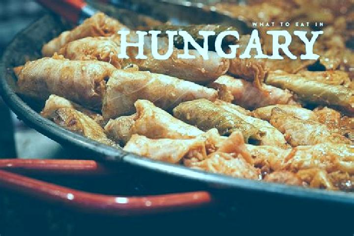 Escorts Szentgalpuszta, Hungary — Local Companions