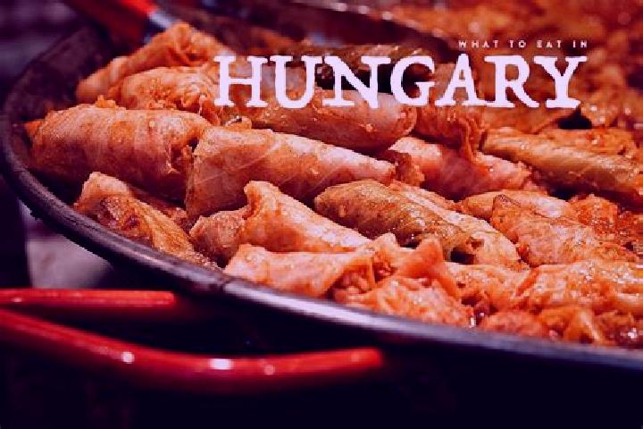 Escorts Szerencs, Hungary — Local Companions