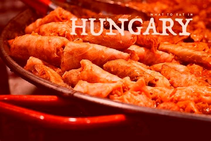 Escorts Szirak, Hungary — Local Companions