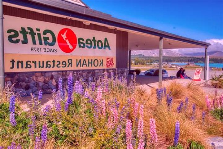 Escorts Taita, New Zealand — Local Companions