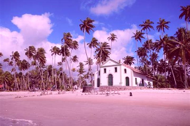 Escorts Tamandare, Brazil — Local Companions