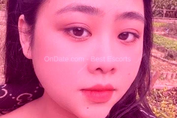Escorts Tan Hung, Vietnam — Local Companions