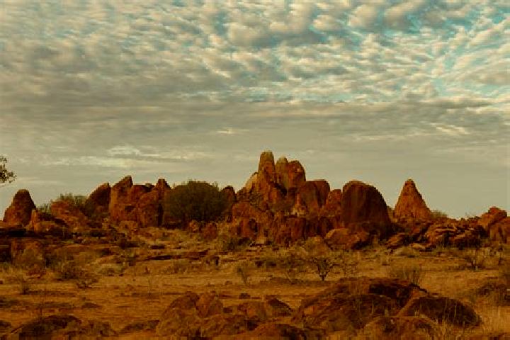 Escorts Tanami, Australia — Local Companions