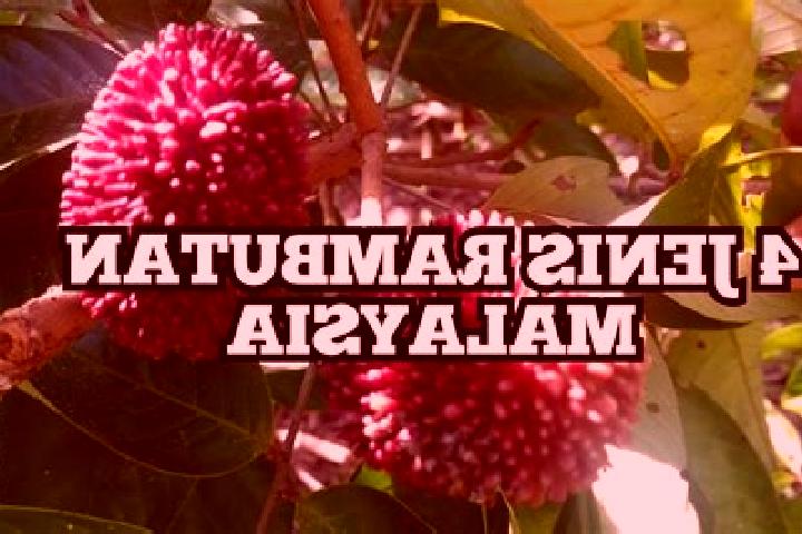 Escorts Tanjung Rambutan, Malaysia — Local Companions