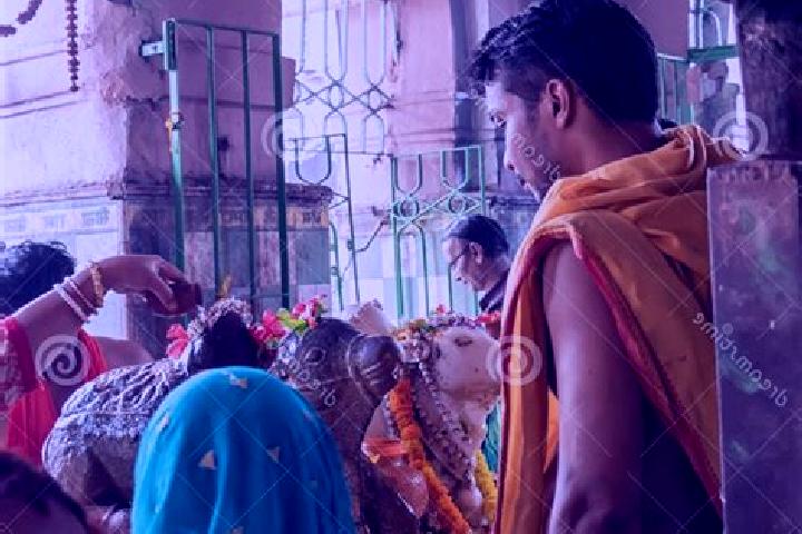 Escorts Tarakeswar, India — Local Companions