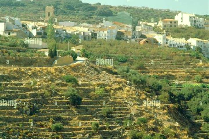 Escorts Tarbena, Spain — Local Companions