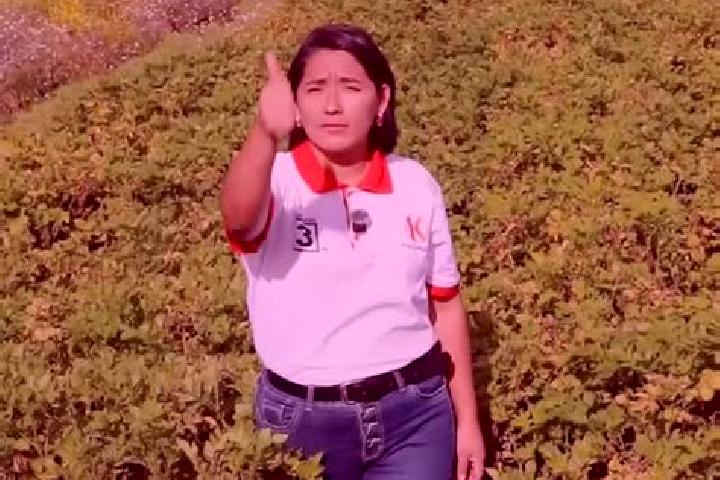 Escorts Tarma, China — Local Companions