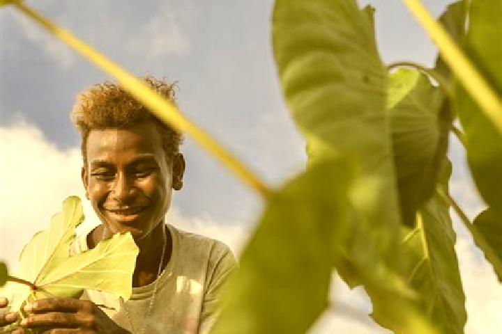 Escorts Taro, Solomon Islands — Local Companions