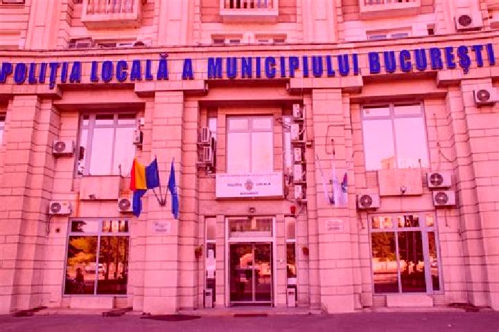 Escorts Tataresti, Romania — Local Companions