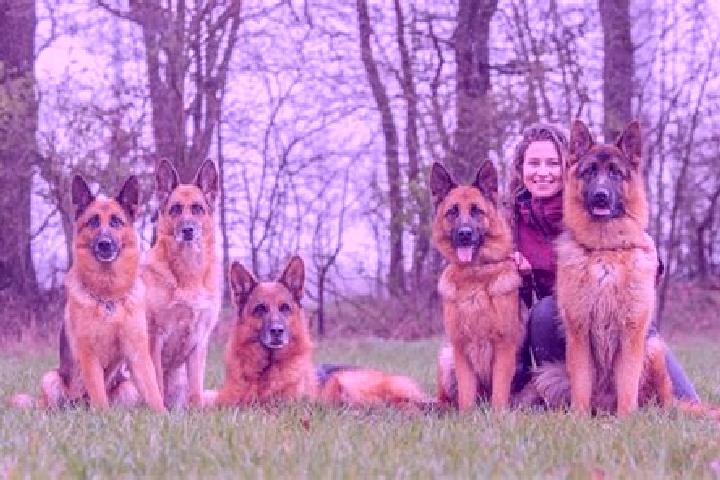Escorts Tating, Germany — Local Companions