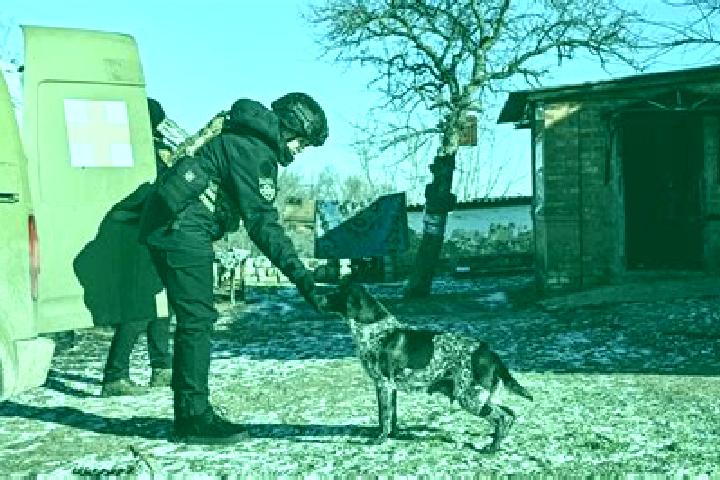 Escorts Tavriiske, Ukraine — Local Companions