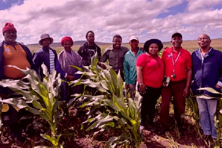 Escorts Tekwane, South Africa — Local Companions