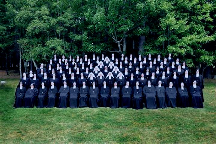 Escorts Temple, Canada — Local Companions