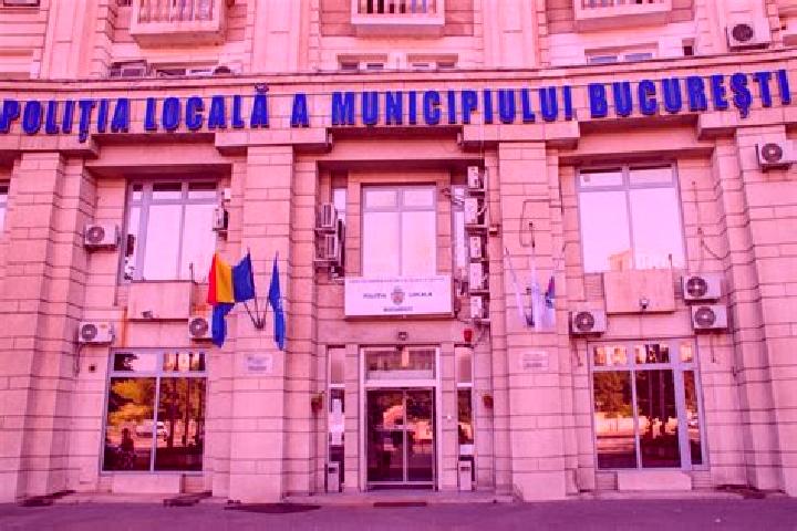 Escorts Terca, Romania — Local Companions