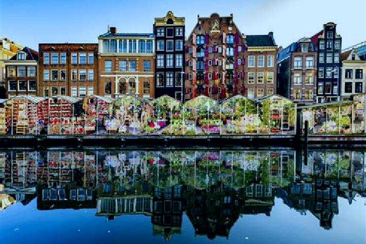 Escorts Terwinselen, Netherlands — Local Companions