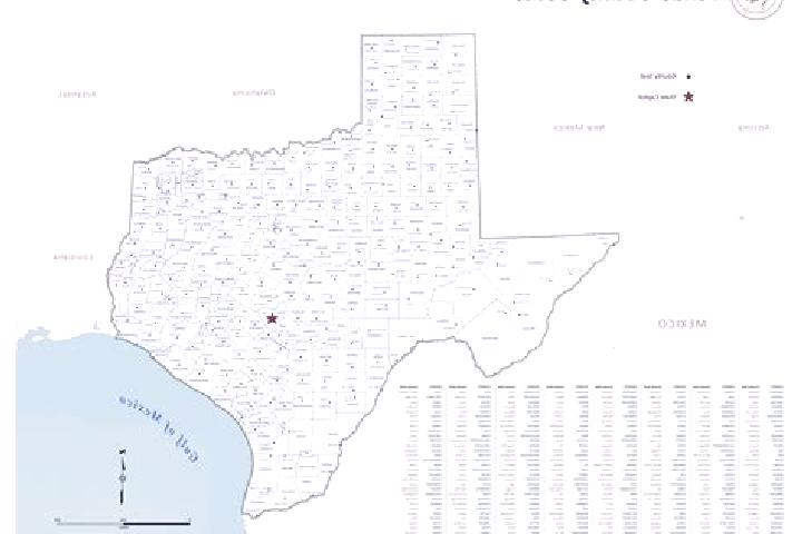 Escorts Texas, Mexico — Local Companions
