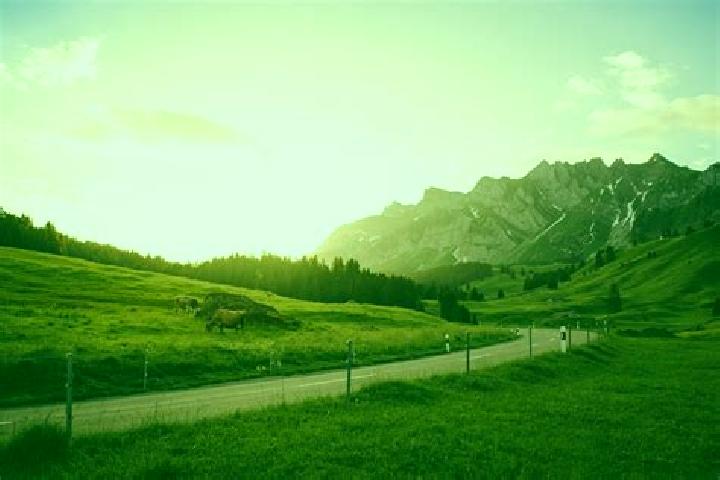 Escorts Thalheim, Switzerland — Local Companions