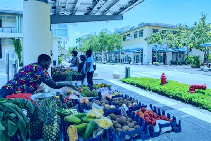Escorts The Common, Cayman Islands — Local Companions
