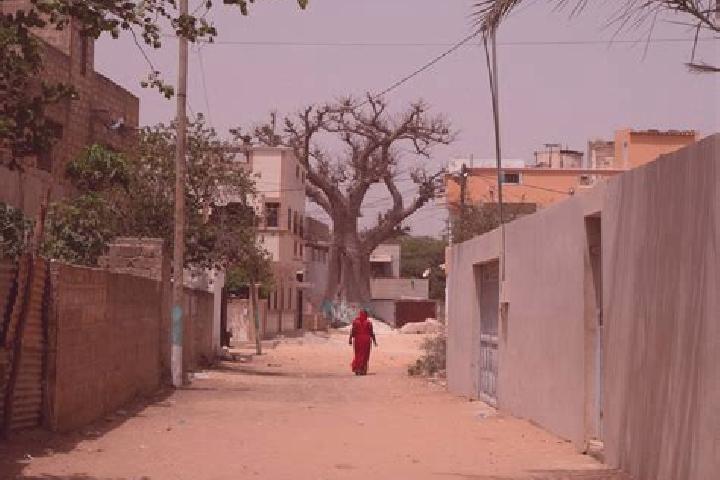 Escorts Thies Nones, Senegal — Local Companions