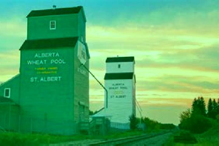 Escorts Thorsby, Canada — Local Companions