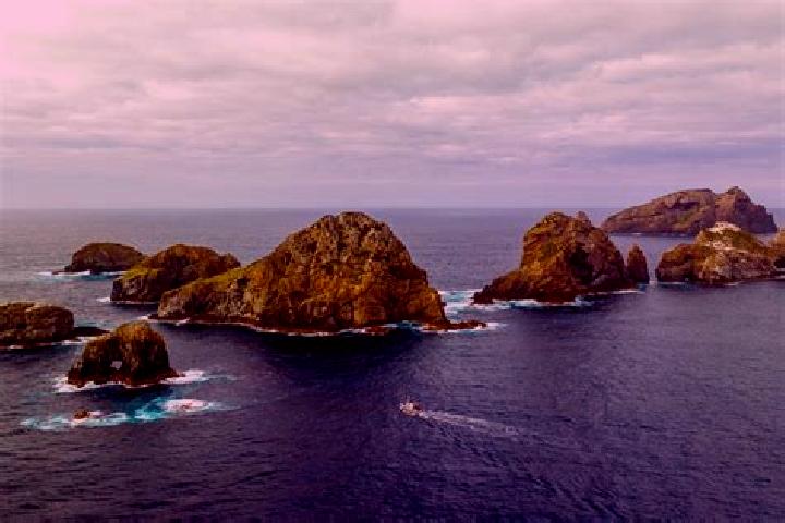 Escorts Three Kings, New Zealand — Local Companions