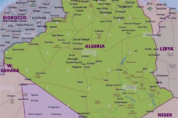 Escorts Tighenif, Algeria — Local Companions