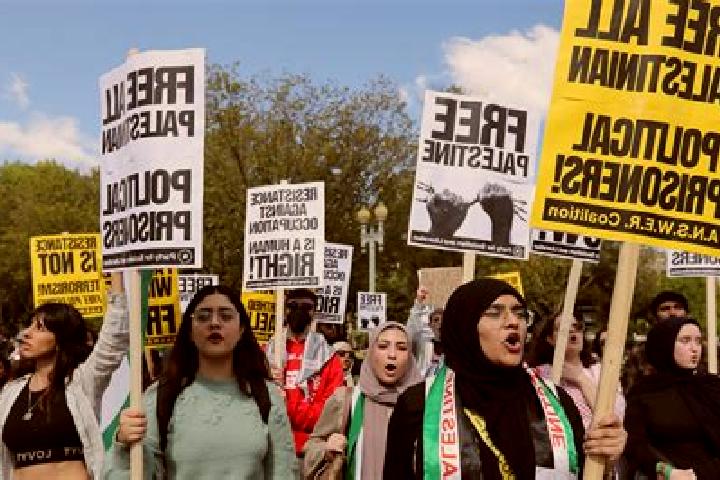 Escorts Till, Palestine — Local Companions