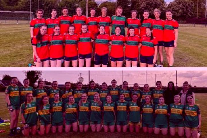 Escorts Timahoe, Ireland — Local Companions