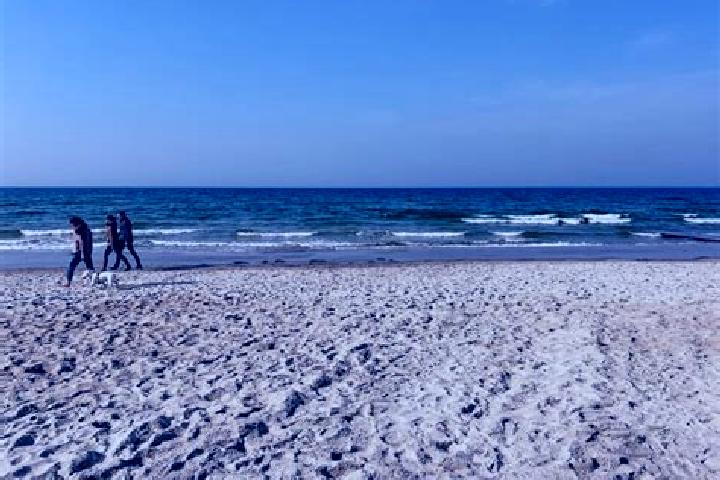 Escorts Timmendorfer Strand, Germany — Local Companions