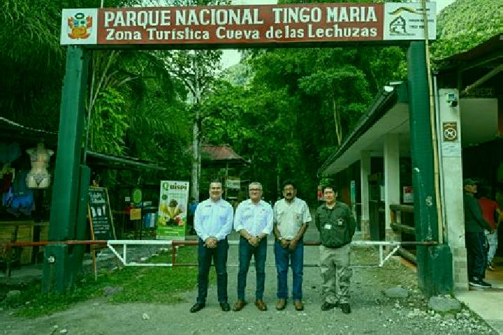 Escorts Tingo Maria, Peru — Local Companions