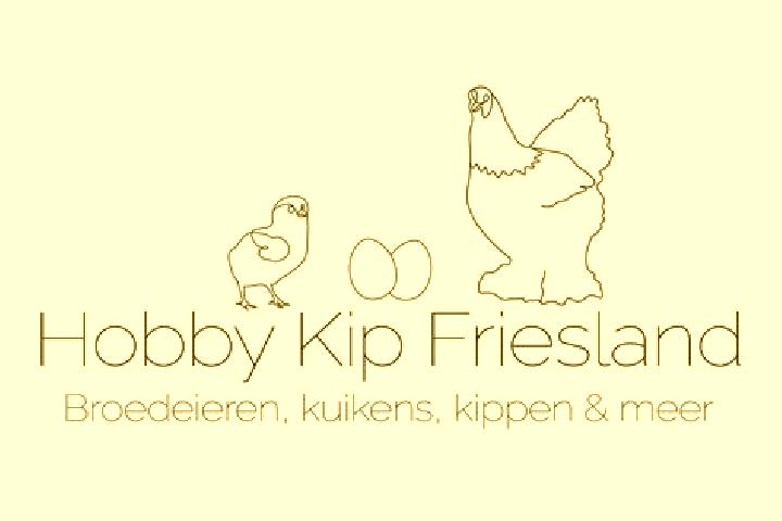 Escorts Tjalleberd, Netherlands — Local Companions