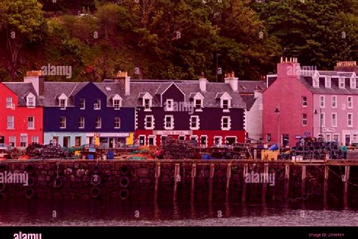 Escorts Tobermory, United Kingdom — Local Companions