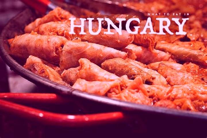 Escorts Tokod, Hungary — Local Companions