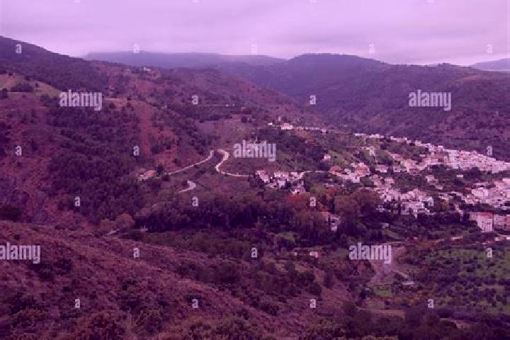 Escorts Tolox, Spain — Local Companions