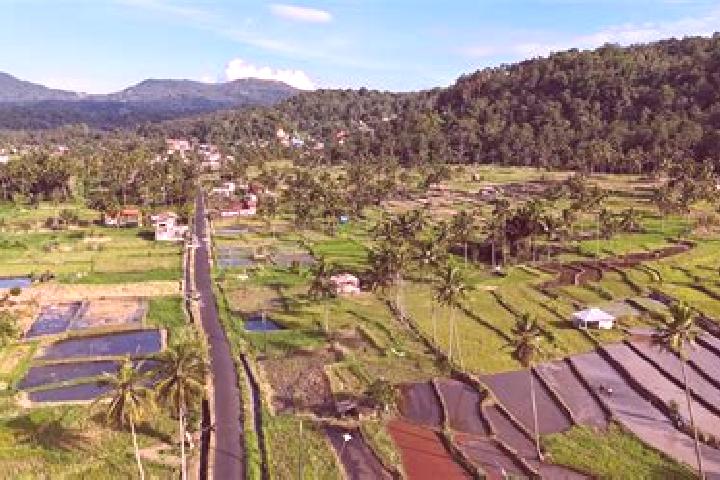 Escorts Tomohon, Indonesia — Local Companions