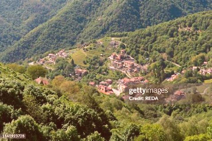 Escorts Torre de Busi, Italy — Local Companions