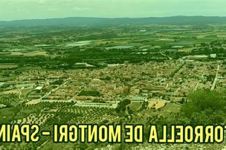 Escorts Torroella de Montgri, Spain — Local Companions