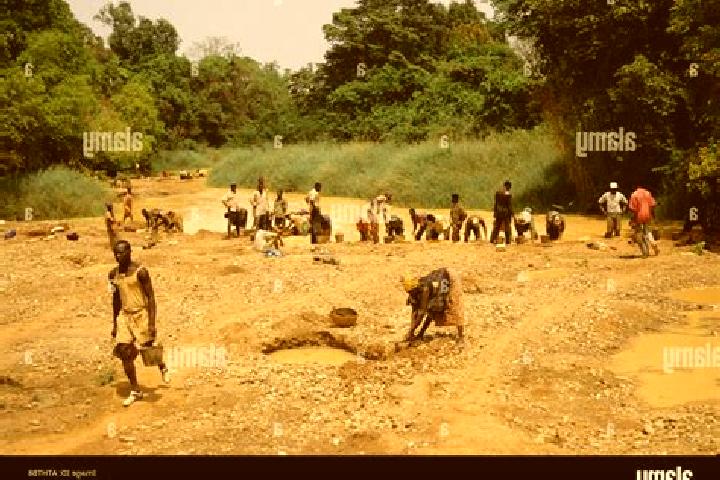 Escorts Tortiya, Ivory Coast — Local Companions