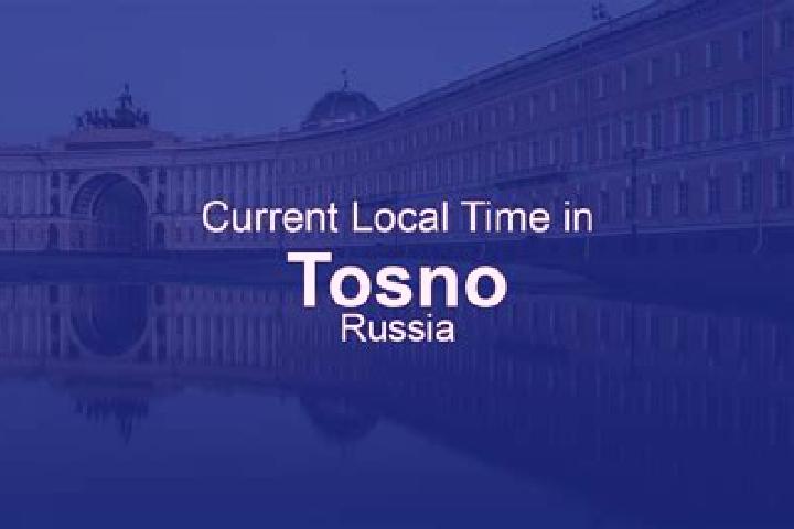 Escorts Tosno, Russia — Local Companions