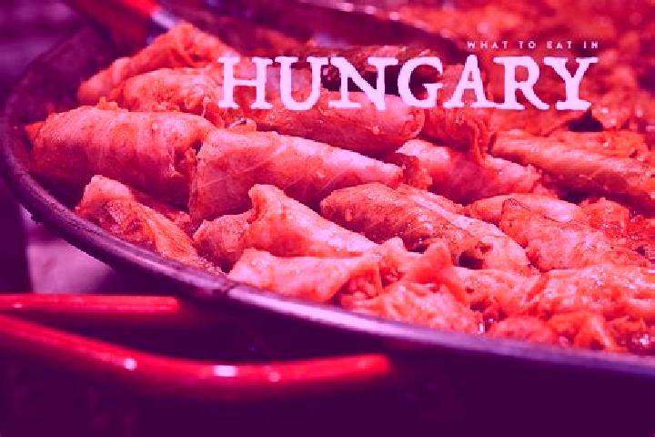 Escorts Toszeg, Hungary — Local Companions