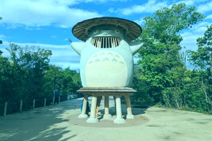 Escorts Totoro, Colombia — Local Companions