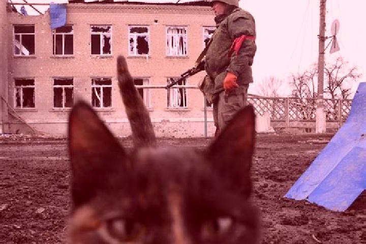 Escorts Tpig, Russia — Local Companions