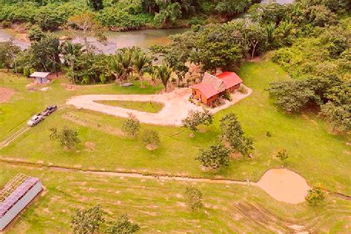 Escorts Trial Farm, Belize — Local Companions