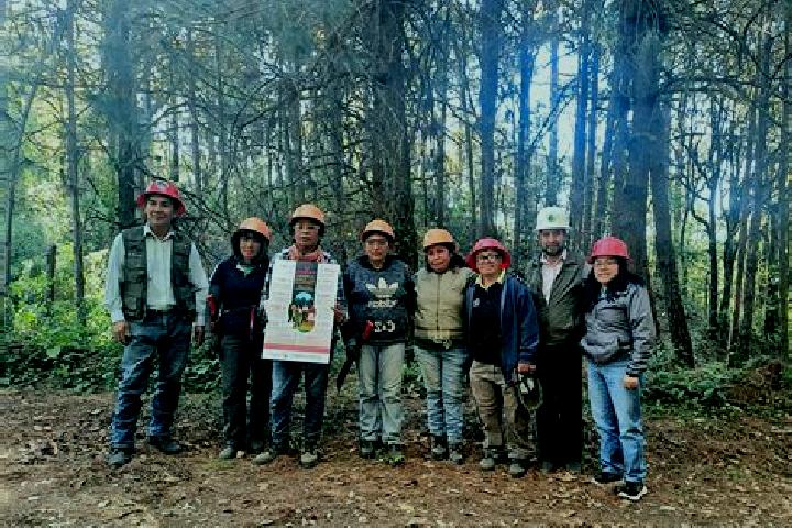 Escorts Trinidad Ixtlan, Mexico — Local Companions