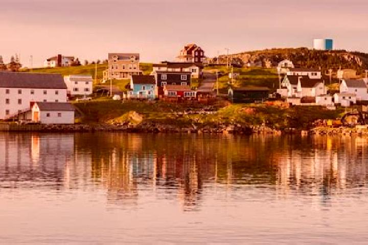 Escorts Trinity Bay North, Canada — Local Companions