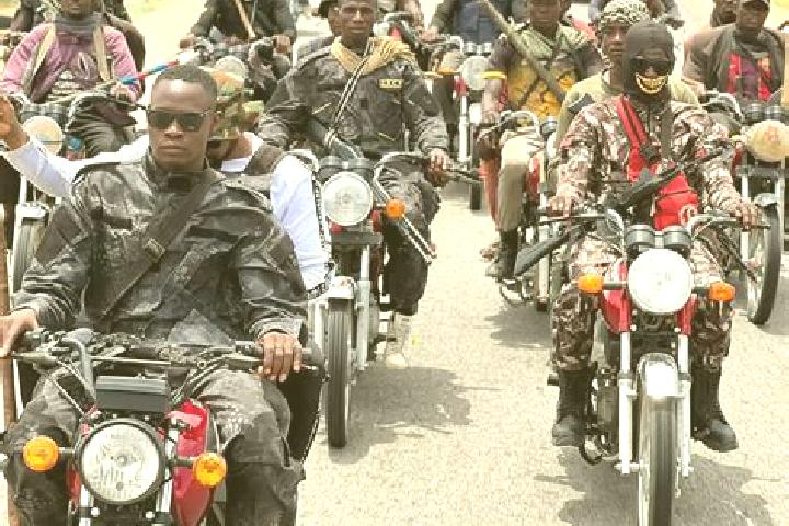 Escorts Tsanyawa, Nigeria — Local Companions