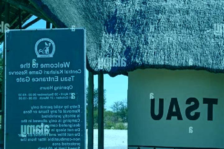 Escorts Tsau, Botswana — Local Companions