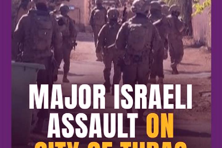 Escorts Tubas, Palestine — Local Companions