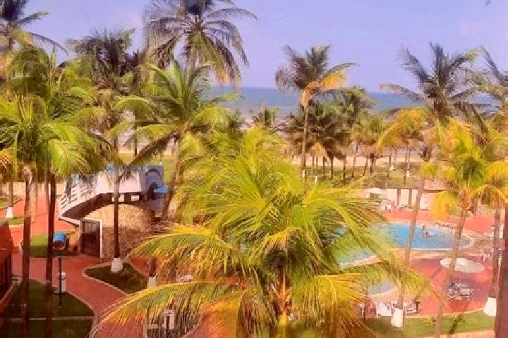 Escorts Tucacas, Venezuela — Local Companions