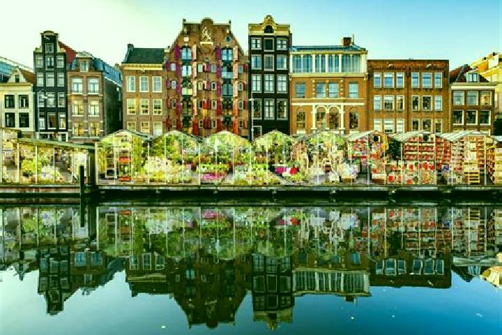 Escorts Tuitjenhorn, Netherlands — Local Companions